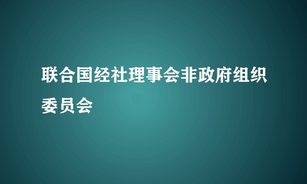 联合国经社理事会非政府组织委员会