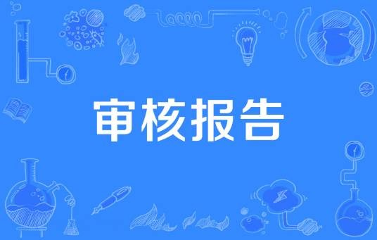 审核报告