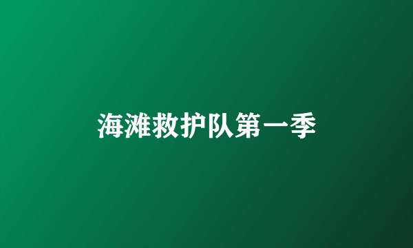 海滩救护队第一季