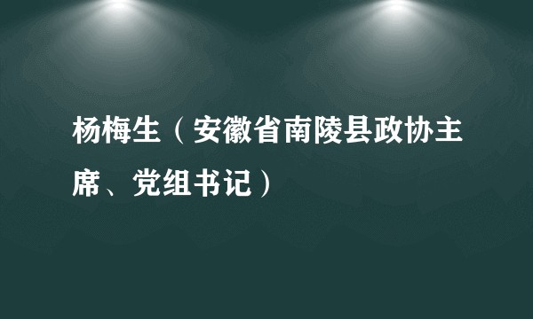杨梅生（安徽省南陵县政协主席、党组书记）