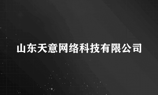 山东天意网络科技有限公司