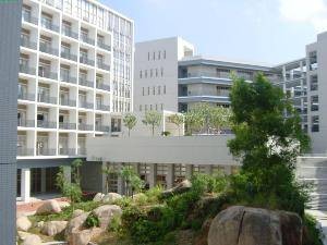 深圳大学家教网