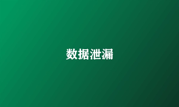 数据泄漏