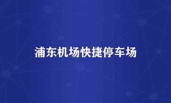 浦东机场快捷停车场
