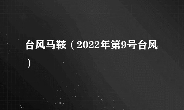 台风马鞍（2022年第9号台风）