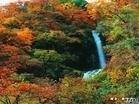 东拉山大峡谷