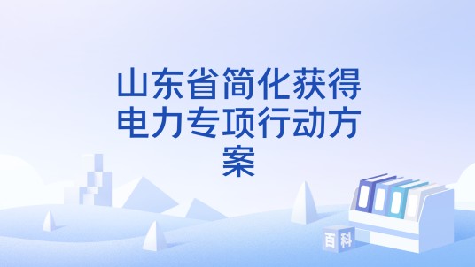 山东省简化获得电力专项行动方案