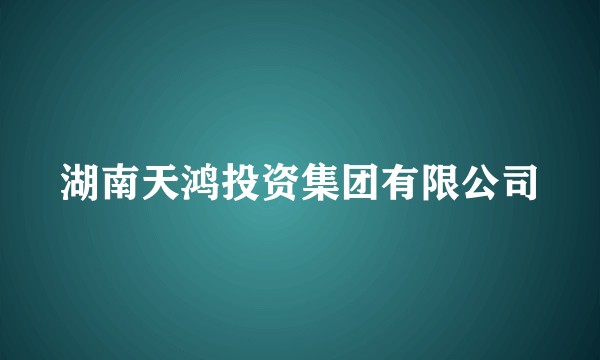 湖南天鸿投资集团有限公司