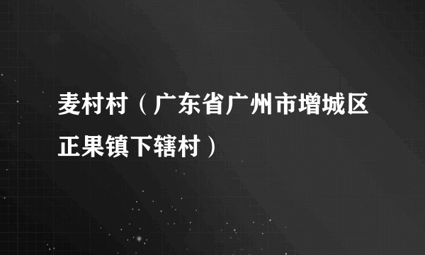 麦村村(广东省广州市增城区正果镇下辖村)
