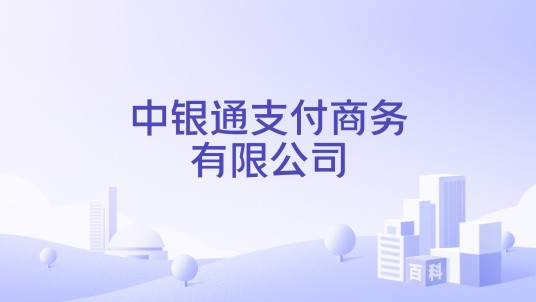 中银通支付商务有限公司