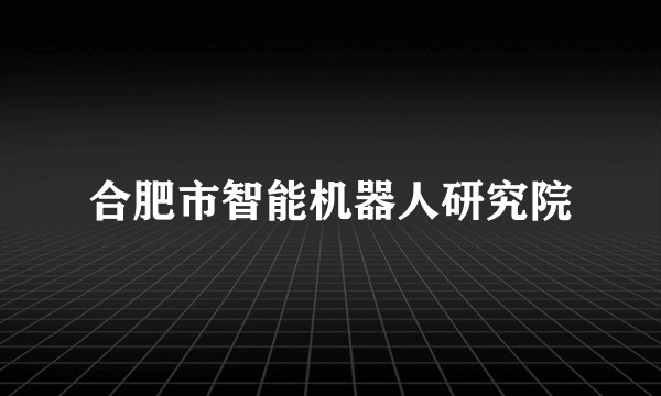 合肥市智能机器人研究院