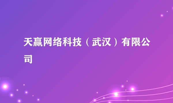 天赢网络科技（武汉）有限公司