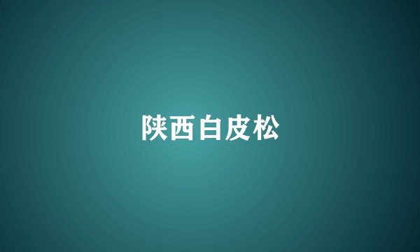 陕西白皮松