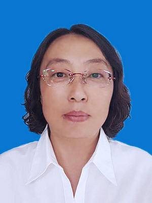 李晓晴（陕西省定边县人民政府原副县长）