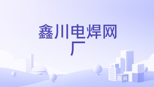 鑫川电焊网厂