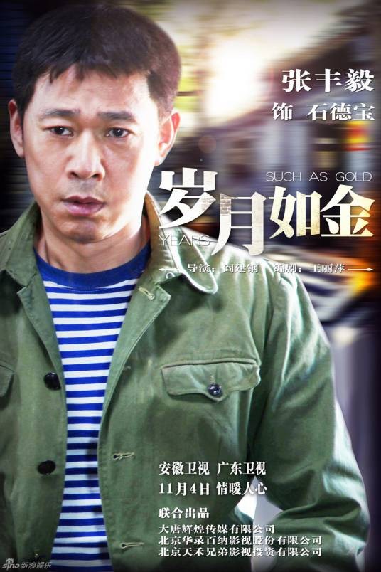 岁月如金（2015年阎建钢执导的电视剧）