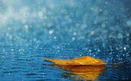 雨月（指雨夜中的月亮或特定月份称谓）