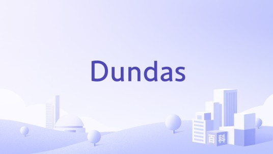 Dundas（先进数据可视化公司）