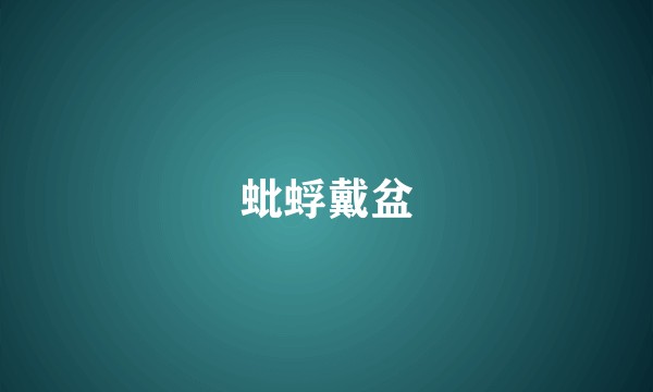 蚍蜉戴盆