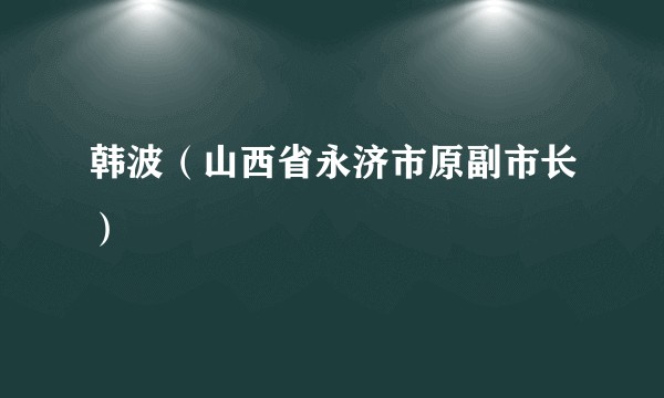 韩波（山西省永济市原副市长）