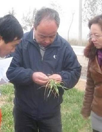 张睿（中国西北农林科技大学研究员）