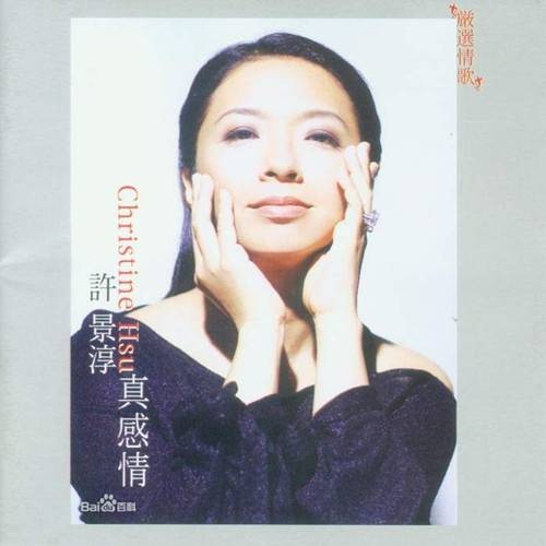 最爱(许景淳演唱的经典抒情歌曲)