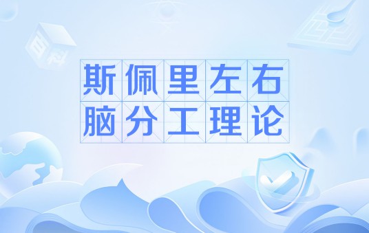 斯佩里左右脑分工理论