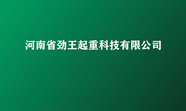 河南省劲王起重科技有限公司
