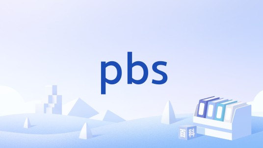 pbs(汽车制造领域术语)