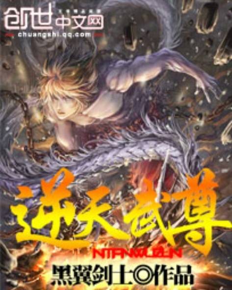 逆天武尊(黑翼剑士创作的异界大陆类网络小说)