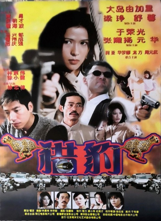 猎豹行动（1998年林展伟执导的惊悚电影）