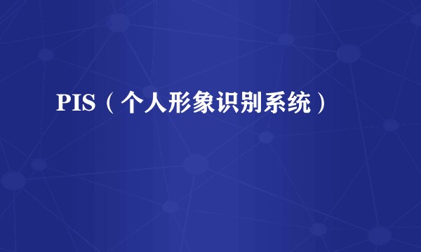 PIS(个人形象识别系统)