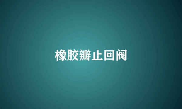 橡胶瓣止回阀