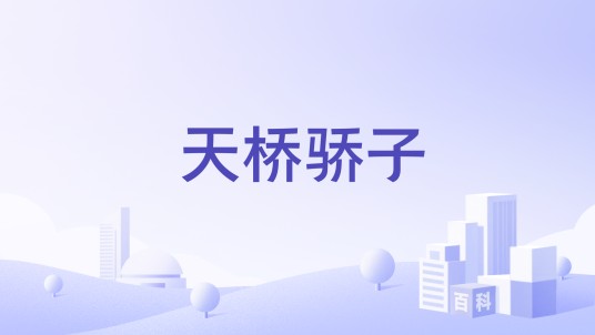 天桥骄子（公司名）