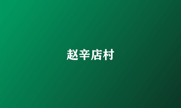 赵辛店村