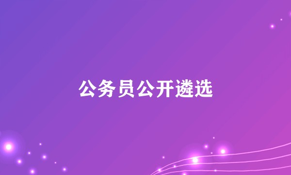 公务员公开遴选