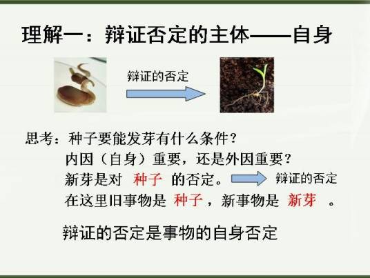 形而上学的否定观