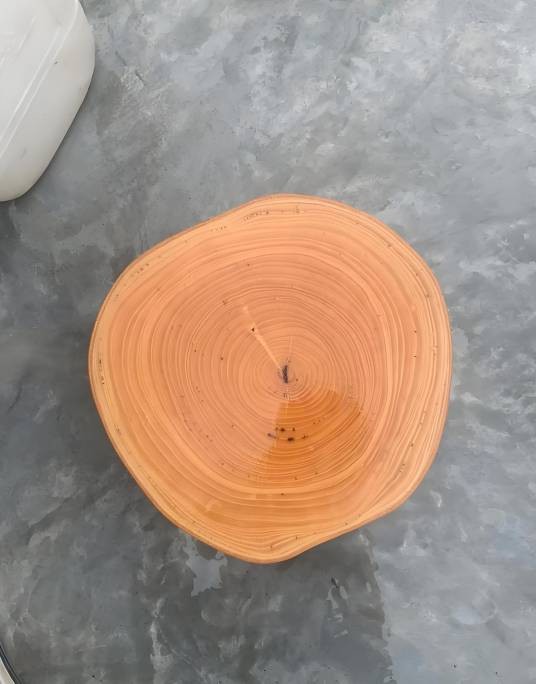 皂荚木