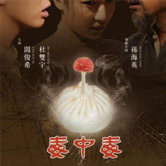 毒中毒（2016崔志敏执导的电影）