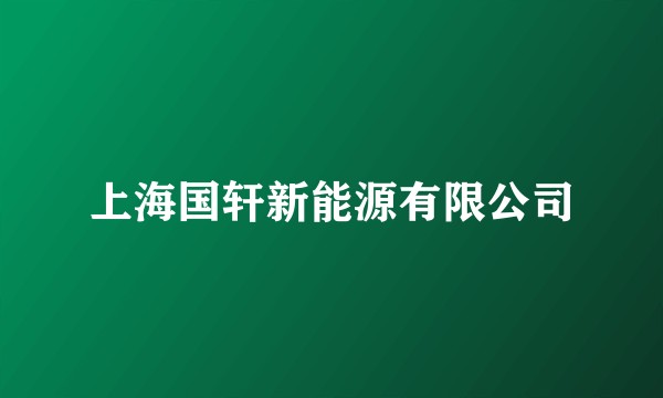 上海国轩新能源有限公司