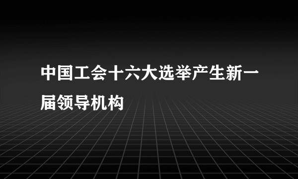 中国工会十六大选举产生新一届领导机构