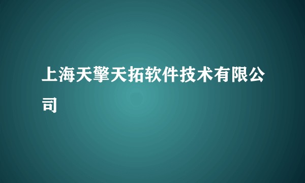 上海天擎天拓软件技术有限公司