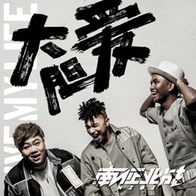 别无他求（2018年南征北战NZBZ演唱的歌曲）