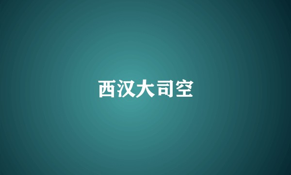 西汉大司空