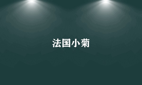 法国小菊