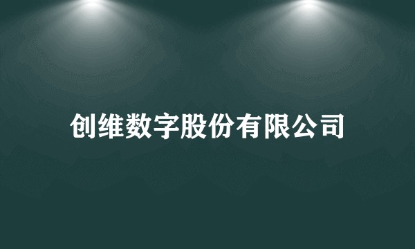 创维数字股份有限公司