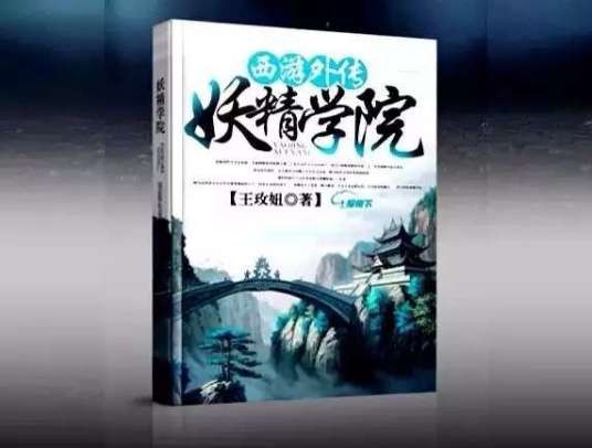 西游外传（王玫妞创作的网络小说）