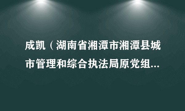 成凯（湖南省湘潭市湘潭县城市管理和综合执法局原党组书记、局长）