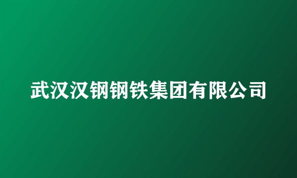 武汉汉钢钢铁集团有限公司