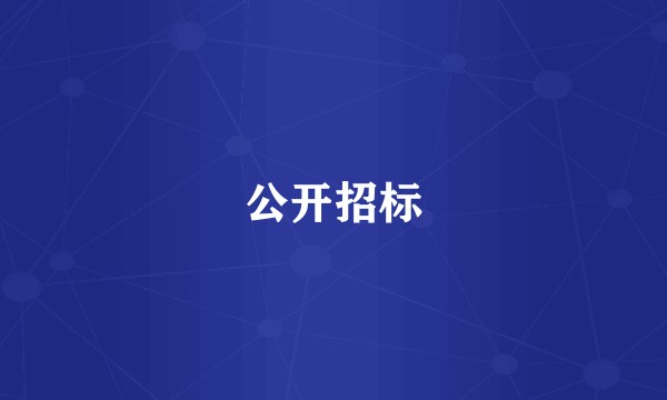 公开招标
